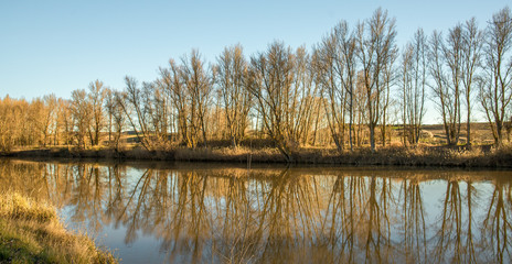 Golden Landscape. River winter Landscape.