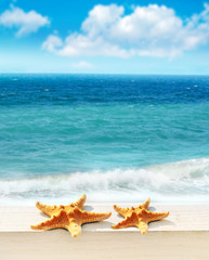 Fototapeta na wymiar Summer beach. Starfish, ocean and sky.