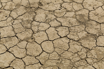 Dry land texture