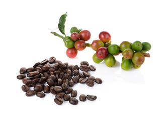 coffee berry and coffee beans on white background - 99794175