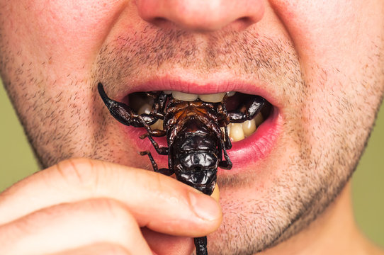 man eats a scorpion