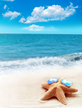 Summer beach. Starfish in sunglasses, ocean and sky.
