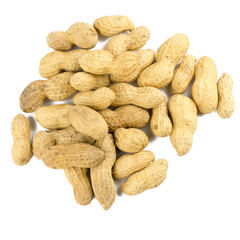 Dried peanuts in isolated on white