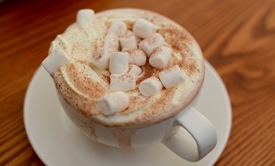 Hot Chocolate with Marshmallows