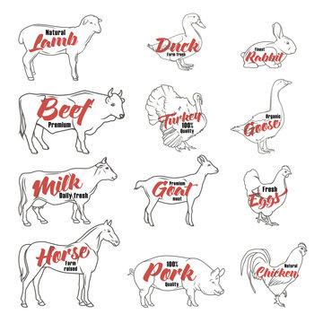 Farm animals icon set. Butchery logo and label collection. 