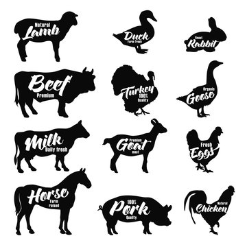 Farm animals icon set. Butchery logo and label collection. 