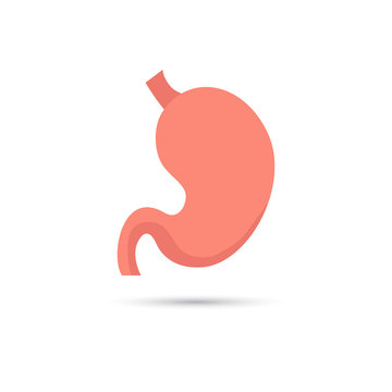 Human stomach color icon