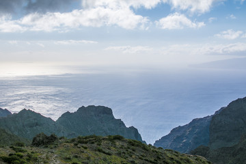 Century plant against Masca village and mountains, Tenerife, Canary islands, Spain