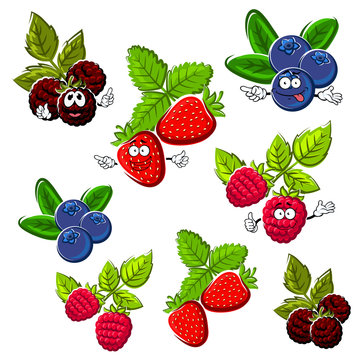 Strawberry, raspberry, blueberry and blackberry