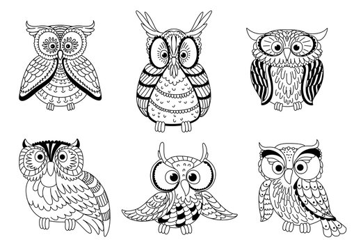 Cartoon cute outline owls and owlets birds