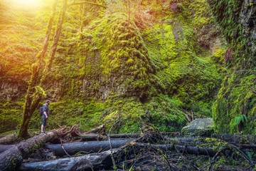 Oregon Mossy Gorge Hiker