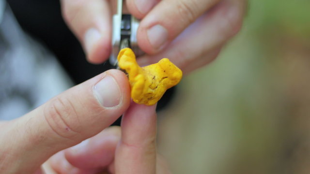 Detail of a knife cutting a small mushroom