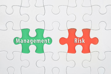 Jigsaw puzzle on color paper background with a word Management and Risk