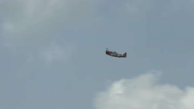 Republic P-47 Thunderbolt flying in summer sky.  Fighter plane used by US Army Air Force and other forces in World War II.  Recorded in 4K, ultra high definition.