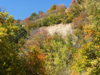 Fototapeta premium Fall Colors on I 89 in Utah. The scenery along the high is full of vibrant fall colors in late September.
