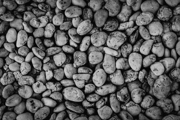 Various Pebble Stones Texture Background