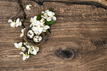 flowers and easter nest with eggs on wooden background