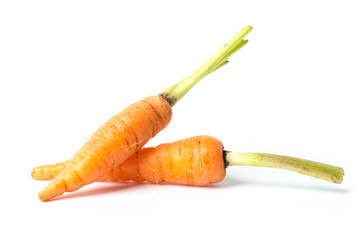 Fresh carrots on white background