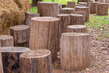 Naklejka premium Stumps used as chairs outside in the garden