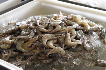 Fresh shrimp stall at the market for sell