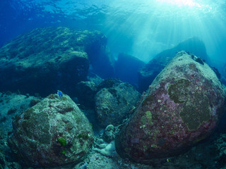  undersea