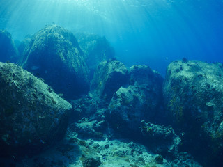 Fototapeta na wymiar undersea