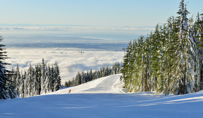 Grouse Mountain Ski Hills