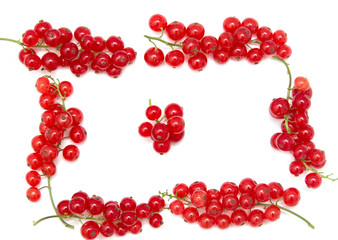 red currants on a white background