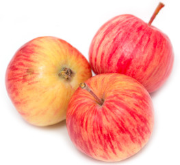 red and yellow apples on a white background