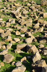 Fondo seco de una laguna