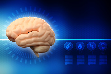 Human brain 3d illustration