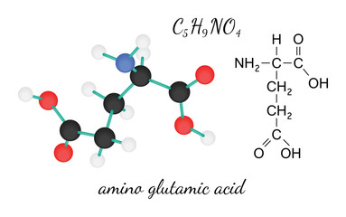 C5H9NO4 glutamic amino acid molecule
