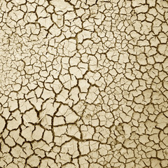 Cracks on the ground