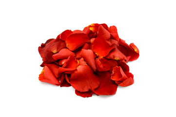 Heap of rose petals isolated on white