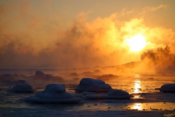 Swans in last open water in extremely cold and misty morning with sea smoke from the Baltic Sea at sunrise time in Helsinki, Finland. 