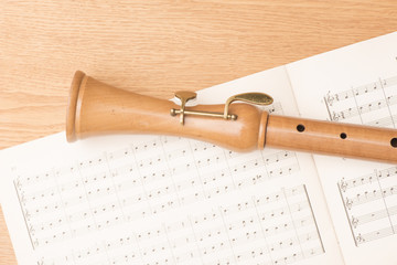 Wooden recorder and notes