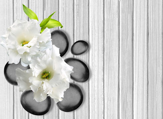Black spa stones with flower on white wooden background