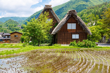 Fototapeta na wymiar Historic Japanese village Shirakawa-go in summer