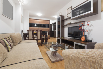 Interior of a living room
