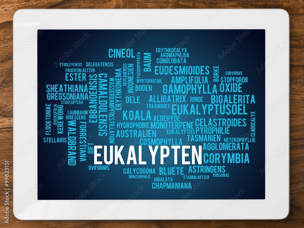 Canvas Prints eukalypten