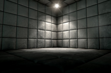 Padded Cell Dirty © alswart