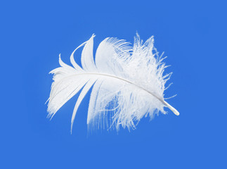 feather on blue sky background