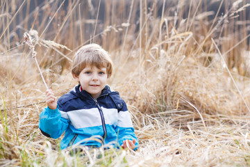 Naklejka na ściany i meble Little boy having fun with bulrush near forest lake