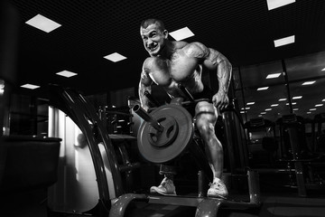 Fototapeta na wymiar Athlete muscular bodybuilder in the gym training back with T-bar