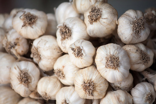 Fresh garlic