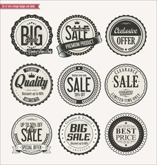 Set of Retro vintage labels and badges