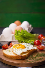 fried egg in studio