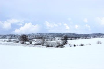 Winter. Beautiful winter landscape with snow covered trees