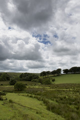 Obraz premium Dartmoor