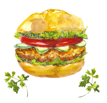 Burger  / watercolors on white background. Sketch Fast food. Bun, chicken, vegetables
